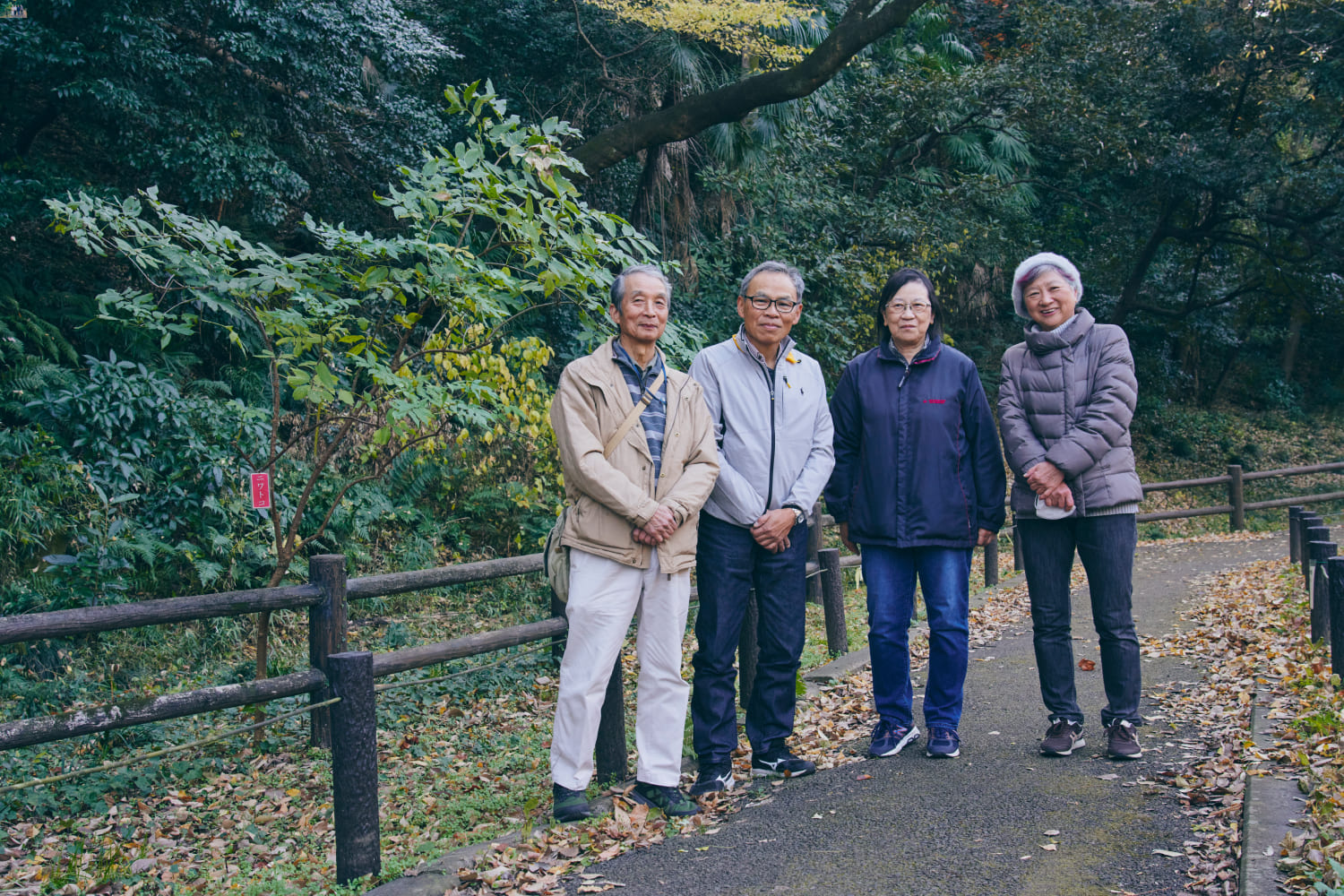 赤塚公園のニワトコの木と、「赤塚公園ニリンソウを守る会」の皆さま